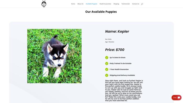 Puresiberianhuskypuppies.com - Husky Puppy Scam Review