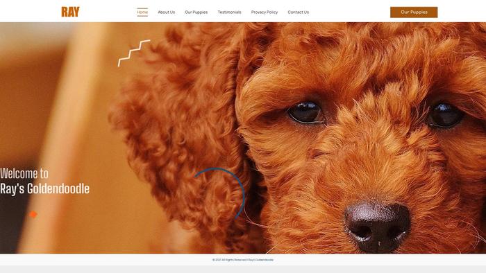 Raysgoldendoodle.com - Golden Doodle Puppy Scam Review