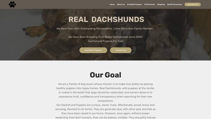 Realdachshunds.com - Dachshund Puppy Scam Review