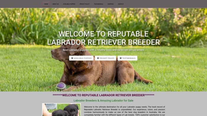 Reputablelabradorretrieverbreeder.com - Golden Retriever Puppy Scam Review