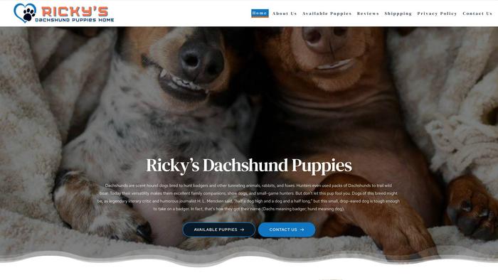 Rickysdachshundpuppieshome.com - Dachshund Puppy Scam Review