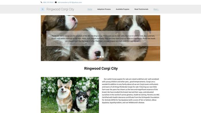 Ringwoodcorgicity.com - Corgi Puppy Scam Review