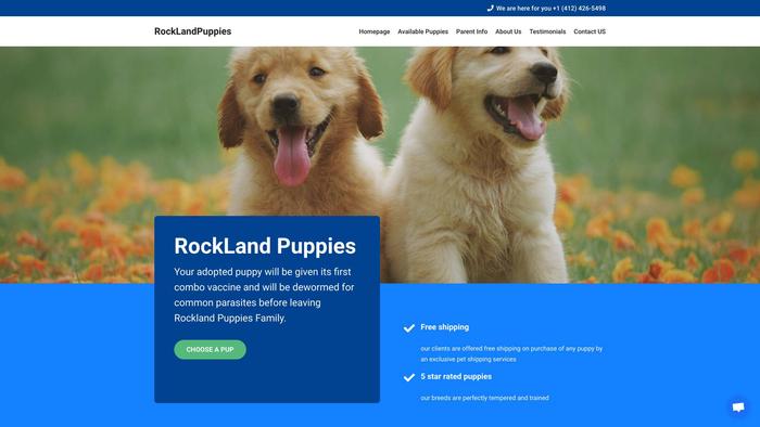 Rocklandpuppies.com - Golden Retriever Puppy Scam Review