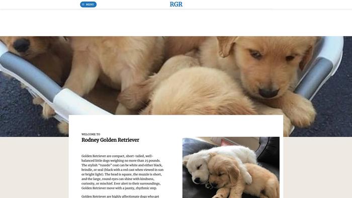 Rodneygoldenretrievers.com - Golden Retriever Puppy Scam Review