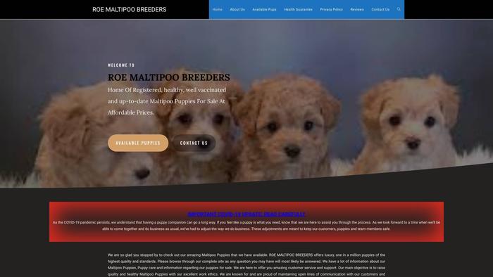 Roemaltipoobreeders.com - Maltipoo Puppy Scam Review