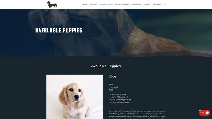 Rogerdashdachshundbreeders.com - Dachshund Puppy Scam Review