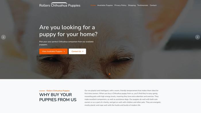 Rollerschihuahuapuppies.com - Chihuahua Puppy Scam Review