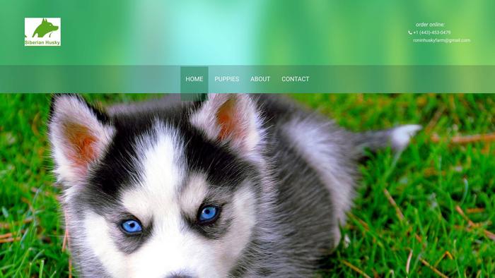 Roninhuskyfarm.com - Husky Puppy Scam Review