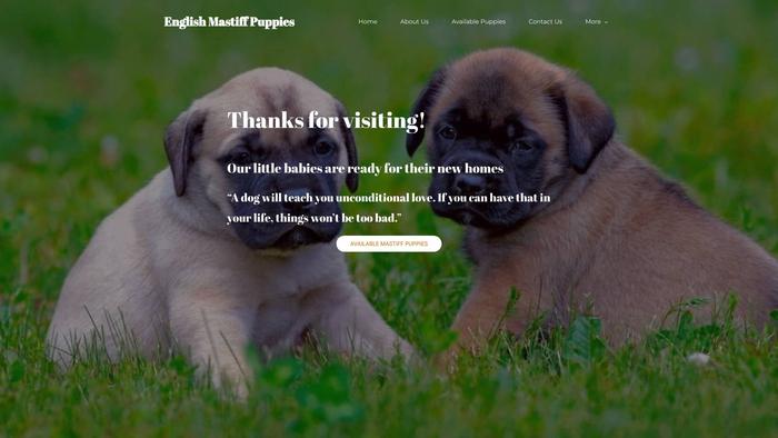 Rosenlundenglisgmastiffpuppies.com - Tibetan Mastiff Puppy Scam Review