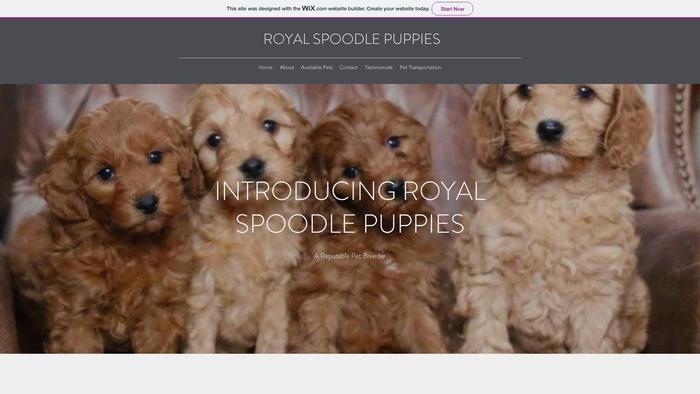 Royalspoodlepuppies.com - Poodle Puppy Scam Review