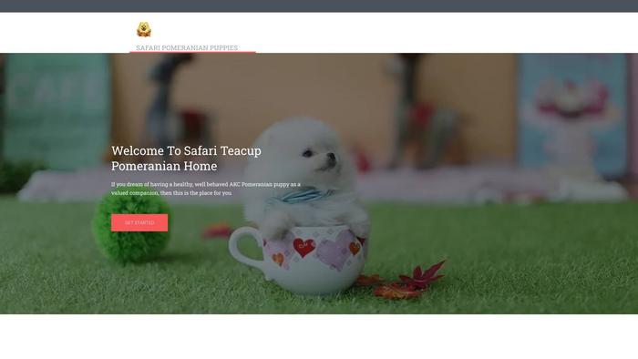 Safaripomeranianpuppies.com - Pomeranian Puppy Scam Review