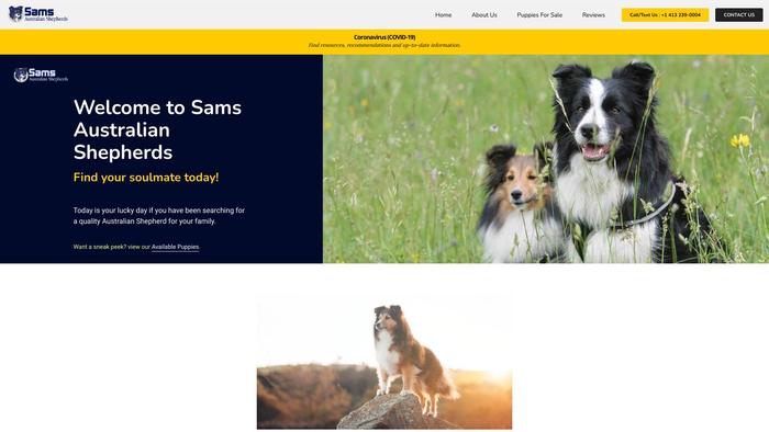 Samsaussieshome.com - Australian Shepherd Puppy Scam Review