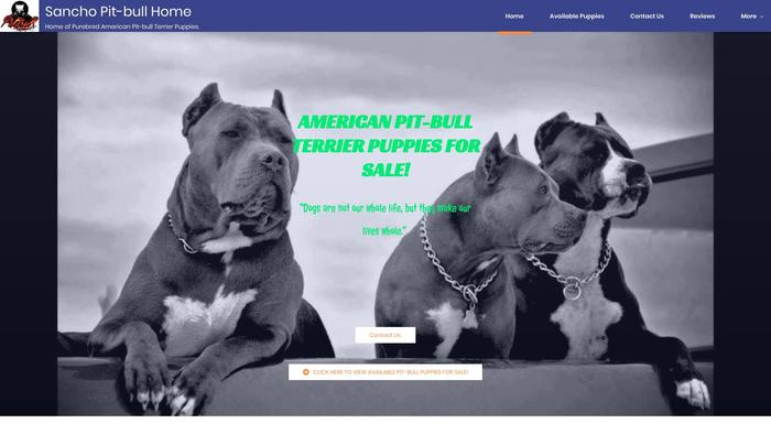 Sanchopitbullhome.dog - Pit Bull Puppy Scam Review