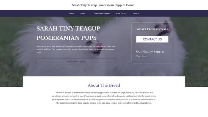 Sarahtinypomeranianpuppieshome.com - Pomeranian Puppy Scam Review