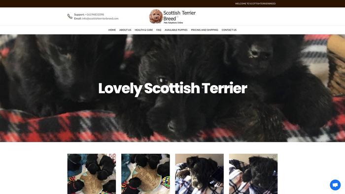 Scottishterrierbreed.com - Terrier Puppy Scam Review