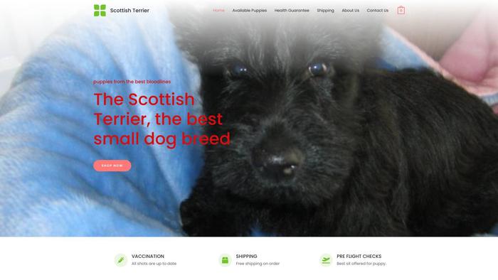 Scottishterrierz.com - Terrier Puppy Scam Review