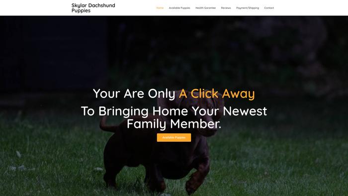 Skylardachshundpuppies.com - Dachshund Puppy Scam Review