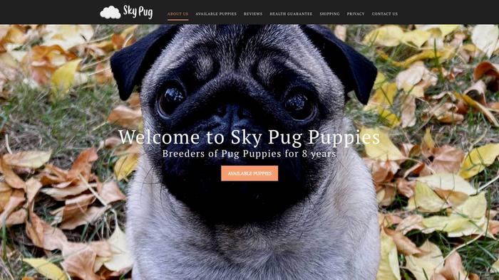 Skypugpuppies.com - Pug Puppy Scam Review