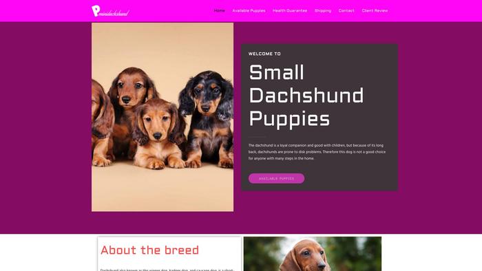 Smalldachshundpuppies.com - Dachshund Puppy Scam Review