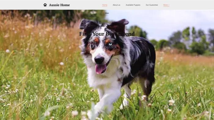 Smartaussiepups.com - Australian Shepherd Puppy Scam Review