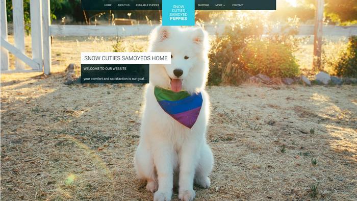 Snowcutieshome.com - Samoyed Puppy Scam Review