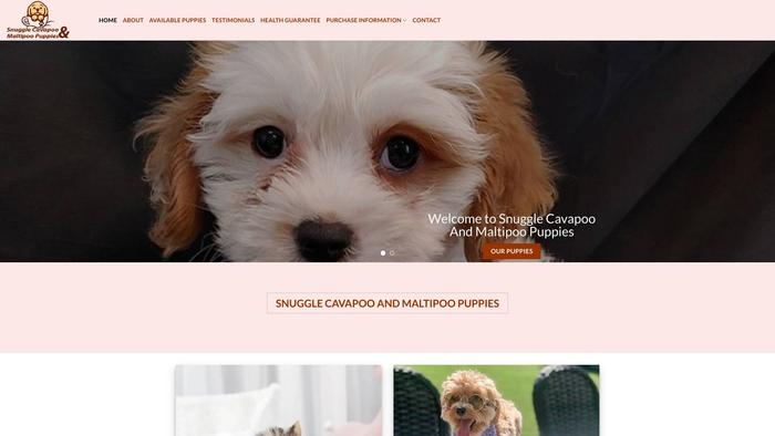 Snugglecavapooandmaltipoopuppies.net - Cavapoo Puppy Scam Review