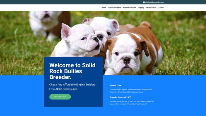 Solidrockbullies.com - English Bulldog Puppy Scam Review