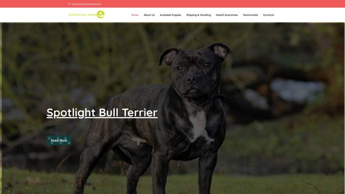 Spotlightstaffordshire.com - Terrier Puppy Scam Review