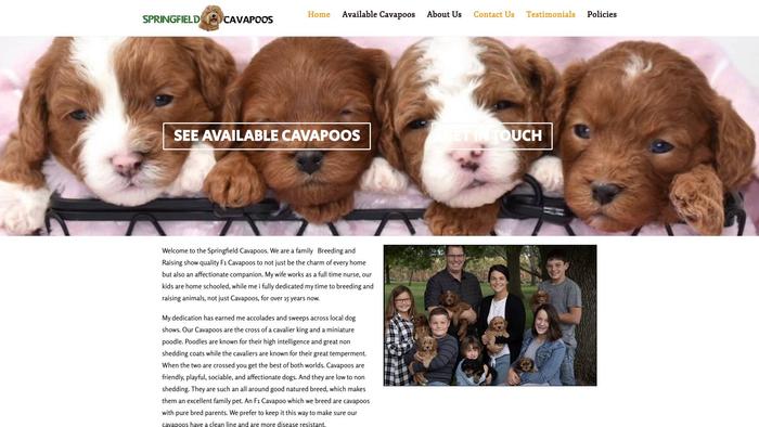 Springfieldcavapoo.com - Cavapoo Puppy Scam Review