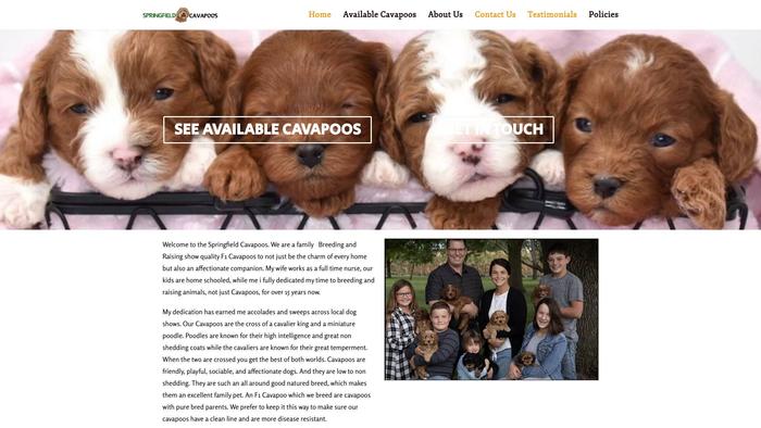 Springfieldcavapoos.com - Cavapoo Puppy Scam Review