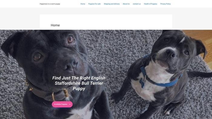 Staffordshirebullterrierpups.dog - Terrier Puppy Scam Review