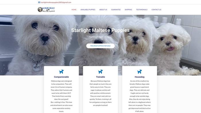 Starlightmaltesepuppies.com - Maltese Puppy Scam Review