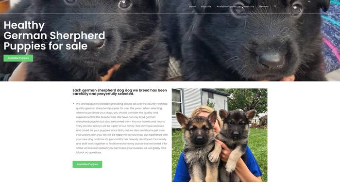 Starrgermansherpherdpuppies.com - Germanshepherd Puppy Scam Review