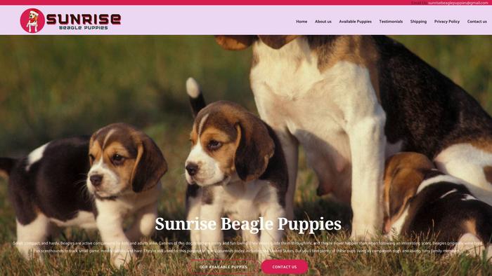 Sunrisebeaglepuppies.com - Beagle Puppy Scam Review