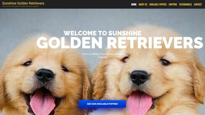 Sunshinegoldenretriever.com - Golden Retriever Puppy Scam Review