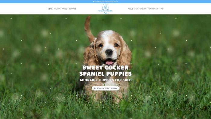 Sweetcockerspanielpups.com - Cockerspaniel Puppy Scam Review