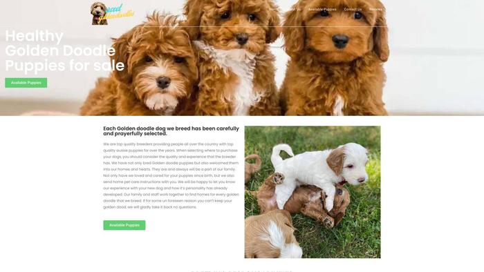 Sweetgoldendoodlepuppies.store - Golden Doodle Puppy Scam Review