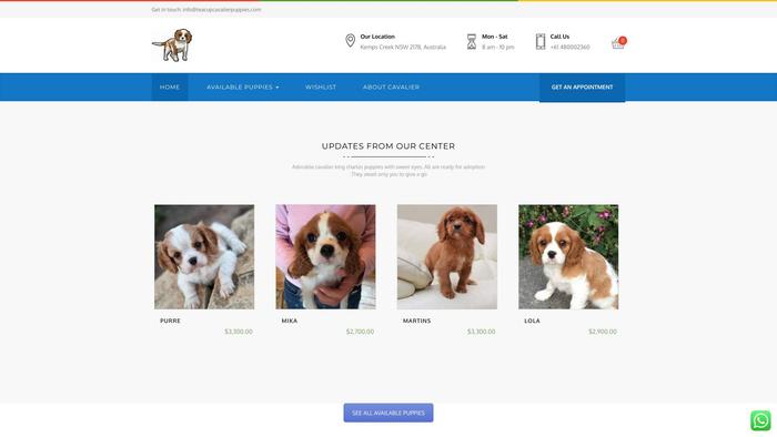 Teacupcavalierpuppies.com - Cavalier King Charles Spaniel Puppy Scam Review