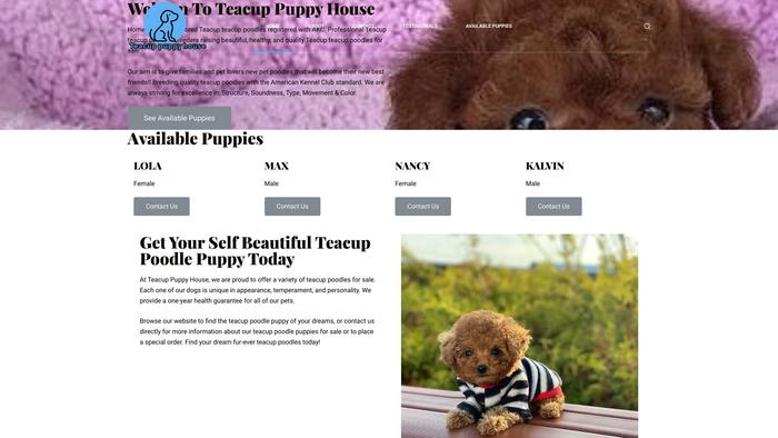 Teacuppuppyhouse.com - Yorkshire Terrier Puppy Scam Review