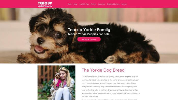 Teacupyorkiefamily.com - Yorkshire Terrier Puppy Scam Review