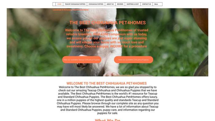 Thebestchihuahuas.com - Chihuahua Puppy Scam Review