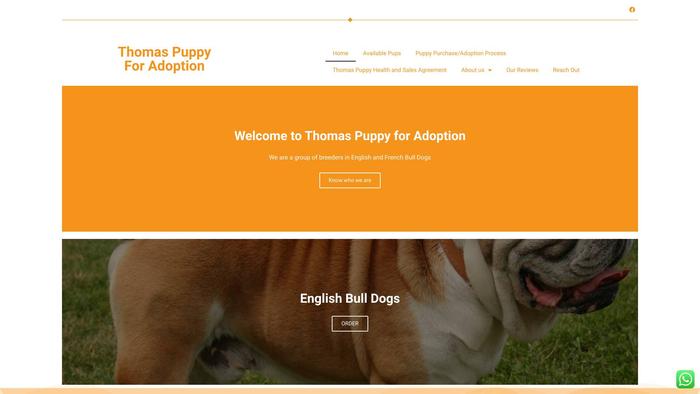 Thomaspuppyforadoption.dog - English Bulldog Puppy Scam Review