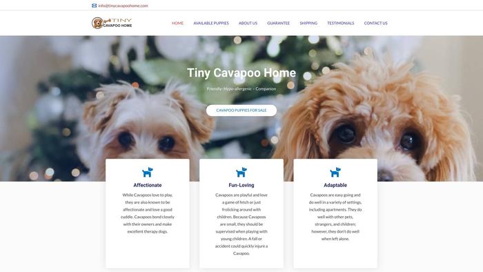 Tinycavapoohome.com - Cavapoo Puppy Scam Review