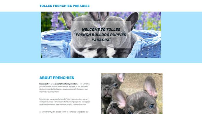 Tollesfrenchieparadies.net - French Bulldog Puppy Scam Review