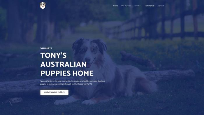 Tonyaustralianpuppieshome.com - Australian Shepherd Puppy Scam Review