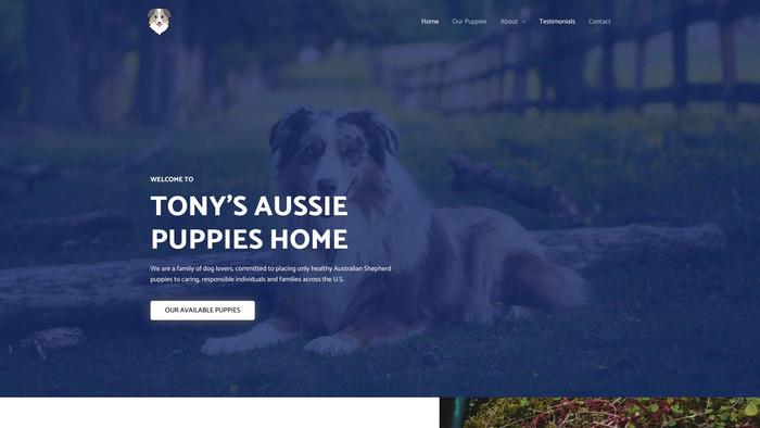 Tonyaustralianpupshome.com - Australian Shepherd Puppy Scam Review