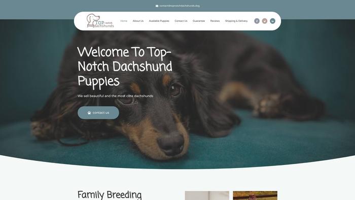 Topnotchdachshunds.dog - Dachshund Puppy Scam Review