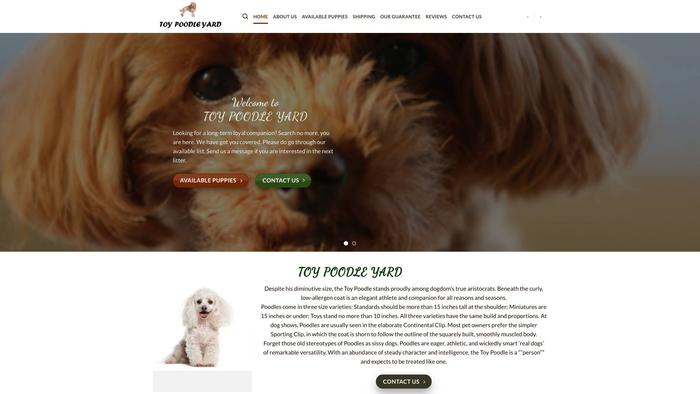 Toypoodleyard.com - Poodle Puppy Scam Review