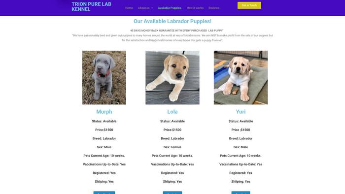 Trionlabradorkennel.com - Labrador Puppy Scam Review