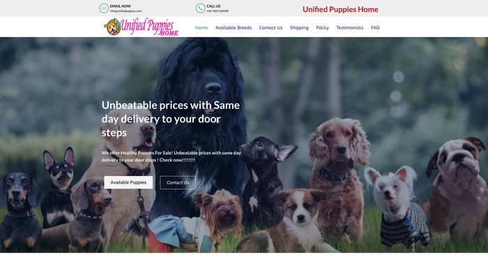 Unifiedpuppies.com - Corgi Puppy Scam Review